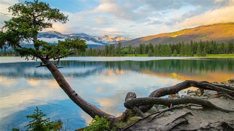 Lac Beauvert Jasper Propriétés De Vacances Maisons Et Plus Vrbo