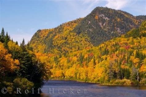 Beautiful Fall River And Mountain Scenery Picture Photo