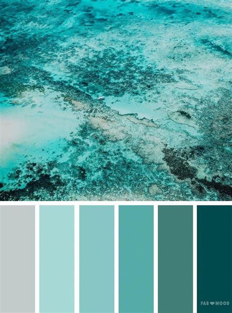 Best Photo Ocean Color Palette Suggestions No Matter Whether You Might