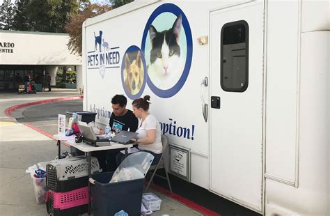 Free Spay/Neuter Clinic This Sunday – Palo Alto Daily Post