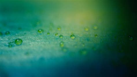 Water Photography Water Drops Green Blue Texture Circle Leaf