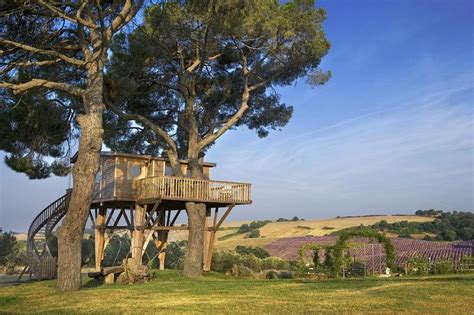 21 Amazing Treehouse Accommodations Around The World Tree House Cool