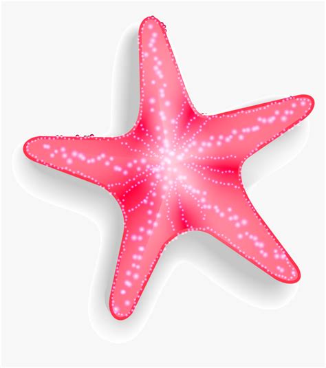 Pink Starfish Clipart Transparent Background Hd Png Download Kindpng