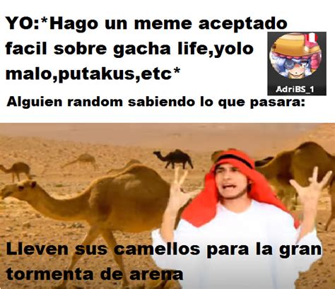Top Memes De Camellos En Español Memedroid