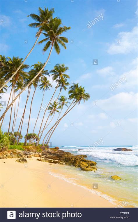 Sri Lankan Village Hi Res Stock Photography And Images Alamy