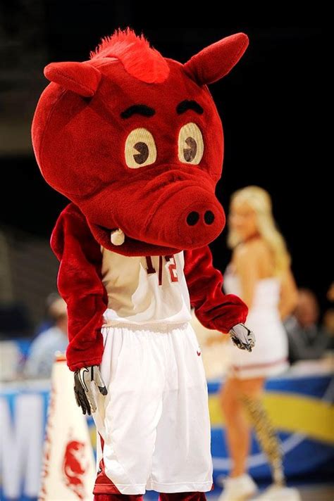366 Best College Mascots Sec Images On Pinterest Collage Colleges
