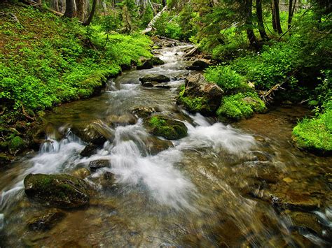 Jack Lake Cascade Photograph By Steven Clark Pixels