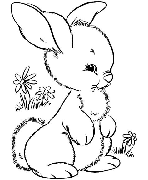 Cute Bunny Sitting After Hopping Coloring Pages Kids