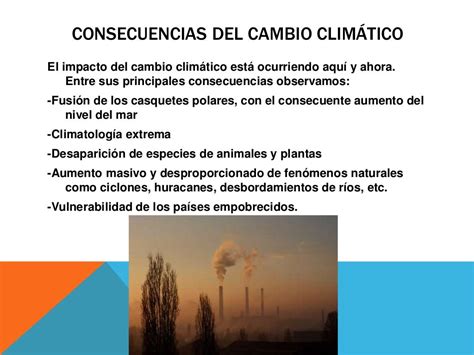 Causas Y Consecuencias Del Cambio Climatico
