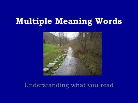 Multiple meaning words | Multiple meaning words, Multiple ...
