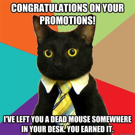 Congratulations On Your Promotions Ive Left You A Dead Mouse