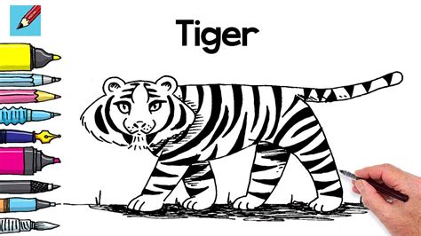 Comment Dessiner Un Tigre Tr S Facilement