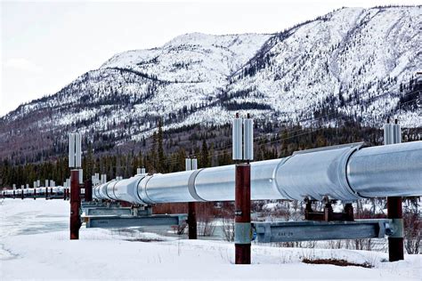 A Pipeline Built To Survive Extremes Cant Bear Slow Oil Flow