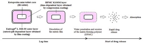 Design Of Compression Coated Tablets For Colonic Release Cr Tablets