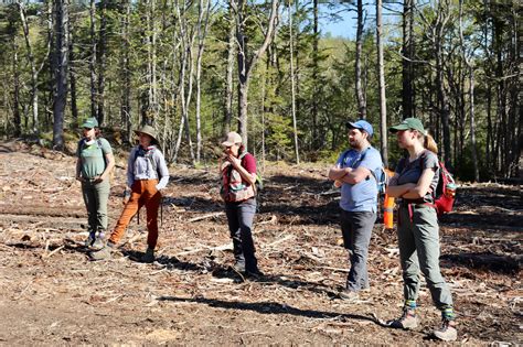 engaging the next generation of forest stewards in the northeast forest stewards guild