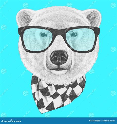 Portrait Of Polar Bear With Glasses And Scarf Stock Illustration