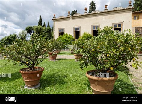 Villa Gamberaia Settignano Florence Tuscany Italy Formal