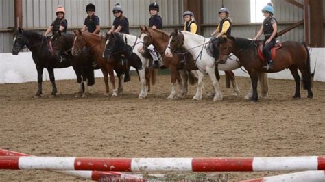 Covid Lockdown Concern For Riding School Horses Welfare Bbc News