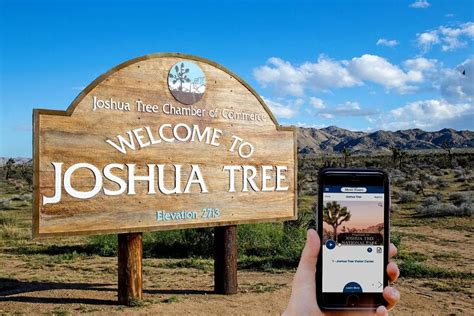 Palm Springs To Joshua Tree Shuttle Ninfa Fusco