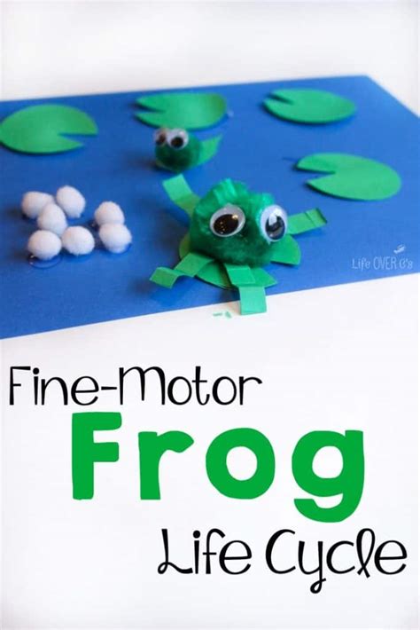 Frog Life Cycle Craft In 2021 Life Cycle Craft Lifecy