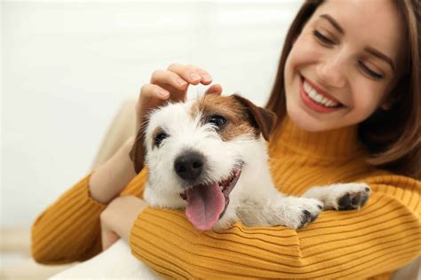 Young People Choose Dog Breeds To Fit Their Lifestyles