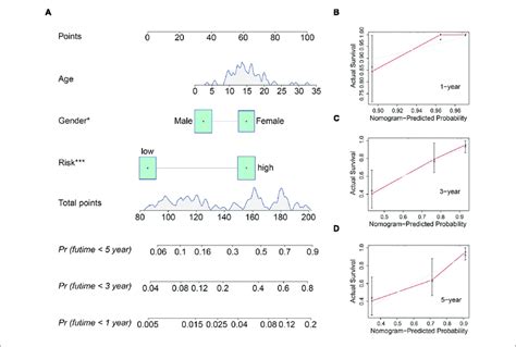 Construction And Validation Of A Nomogram In The Tcga Osteosarcoma