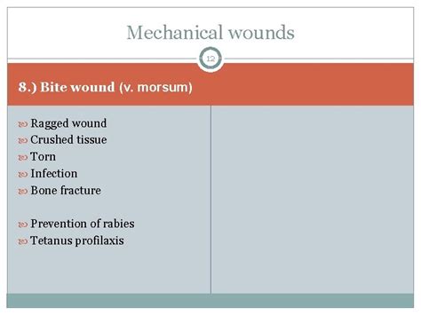 Classification And Management Of Wound Principle Of Wound