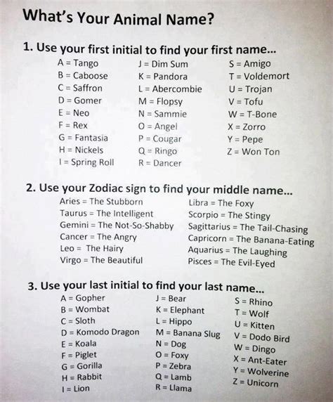 What Is Your Animal Name Generator Fanilam