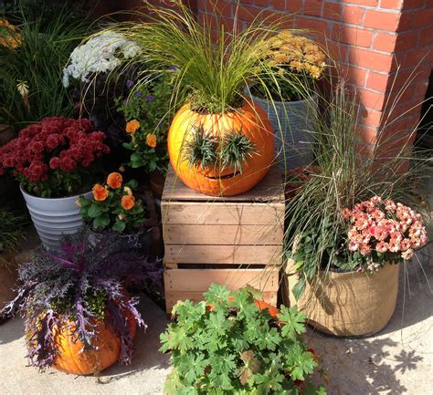 Creative Fall Containers Start With Foliage Plants