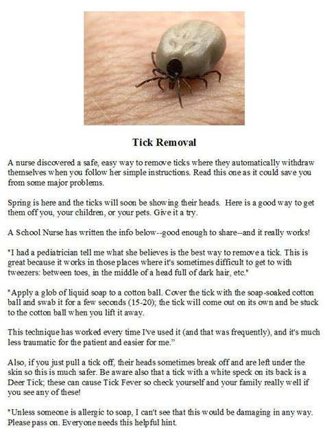Best Way To Remove A Tick Without Tweezers Howtormeov