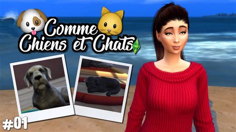Dévovo Sims 4 Chien Et Chat - Chien Nouvelles
