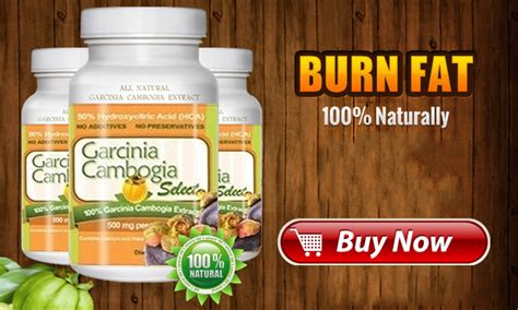 garcinia cambogia select review get the shape staying healthy