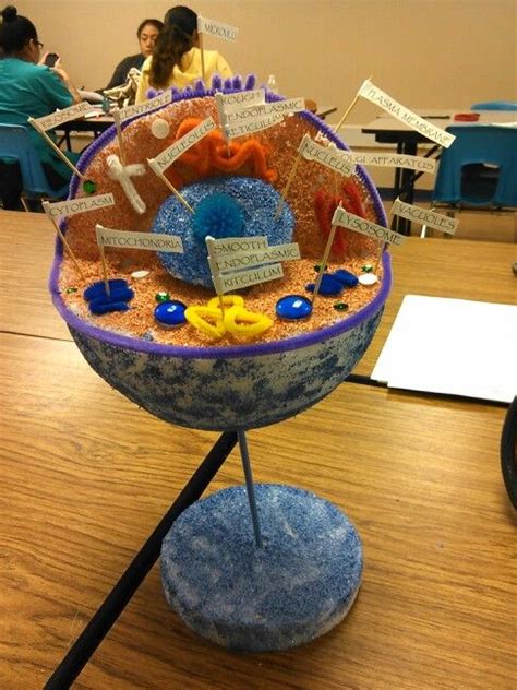 3d Model Of Human Cell Cells Project Cell Model Animal Cell