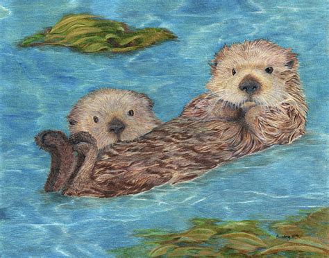 Sea Otter Mates Drawing By Sharon Bunting Pixels