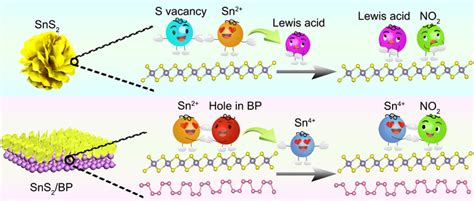 Suppression Of Sn2 And Lewis Acidity In Sns2 Eurekalert