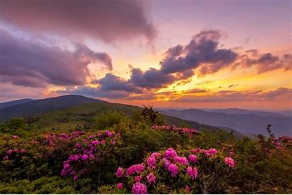 Roan Mountain Carolina North Rhododendron Sunset Rainier