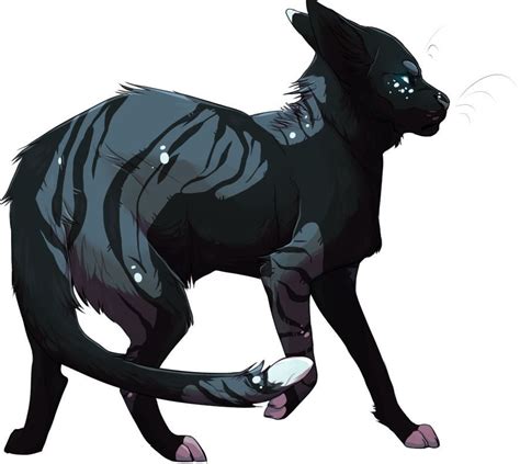 45 Black Cat Drawing Anime Aleya Wallpaper