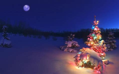 Free Download Christmas Winter Wallpaper 64 Images 1920x1080 For Your