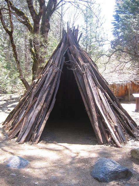 Miwok People Cedar Bark Lodge Native American Artifacts Native