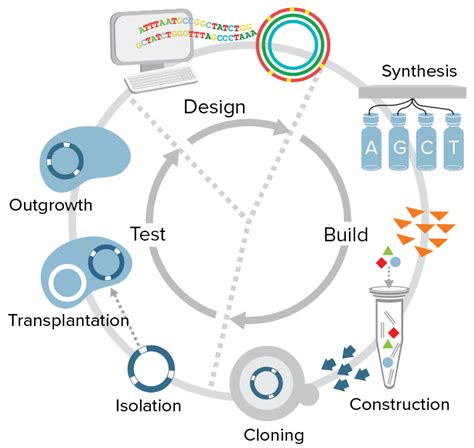 First Minimal Synthetic Bacterial Cell J Craig Venter Institute