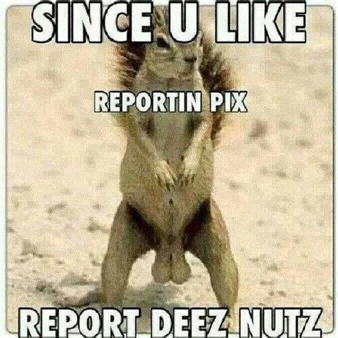 11 Best Deez Nuts Jokes Images On Pinterest Ha Ha Funny Stuff And