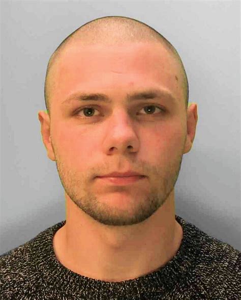 brighton man jailed after sex attack in pavilion gardens brighton and hove news