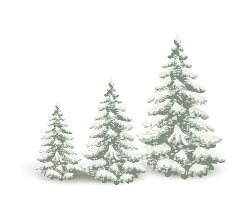 Falling Snow Pine Tree Png Download 12401143 Free Transparent Snow