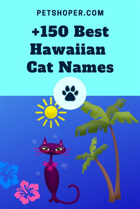 A cat was walking along the top of the fence. Hawaiian Cat Names +150 Cool Names [Female, Male, Top ...