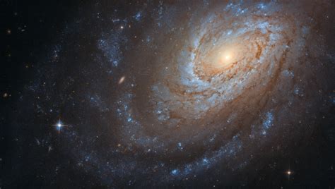 Hubble Captures A Cannibal Galaxy In 2020 Nasa Hubble Spiral Galaxy