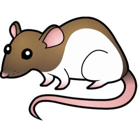 Rat Clipart Baby And Other Clipart Images On Cliparts Pub™