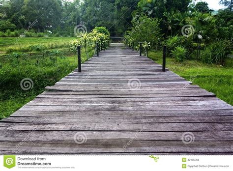 Wooden Walking Path Stock Photo Image Of Direction Lonely 42195768