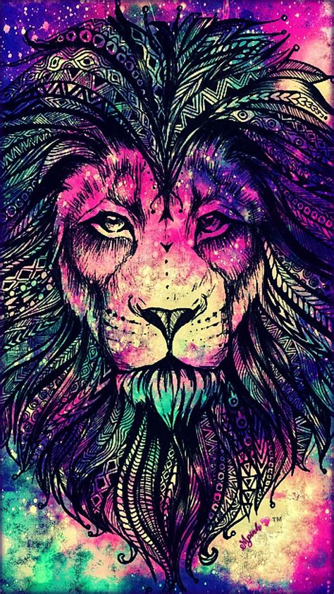 Colorful Lion Wallpapers Wallpaper Cave