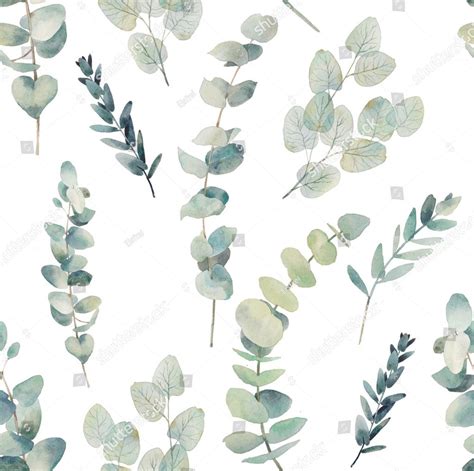 Australia's best wall mural and wallpaper designs. Native Australian Eucalyptus Leaves Custom Wallpaper Mural Wallpaper Brokers