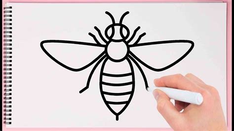 How To Draw A Realistic Bumble Bee Step By Step It S Very Simple To